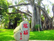 昆明、石林、九乡三日游